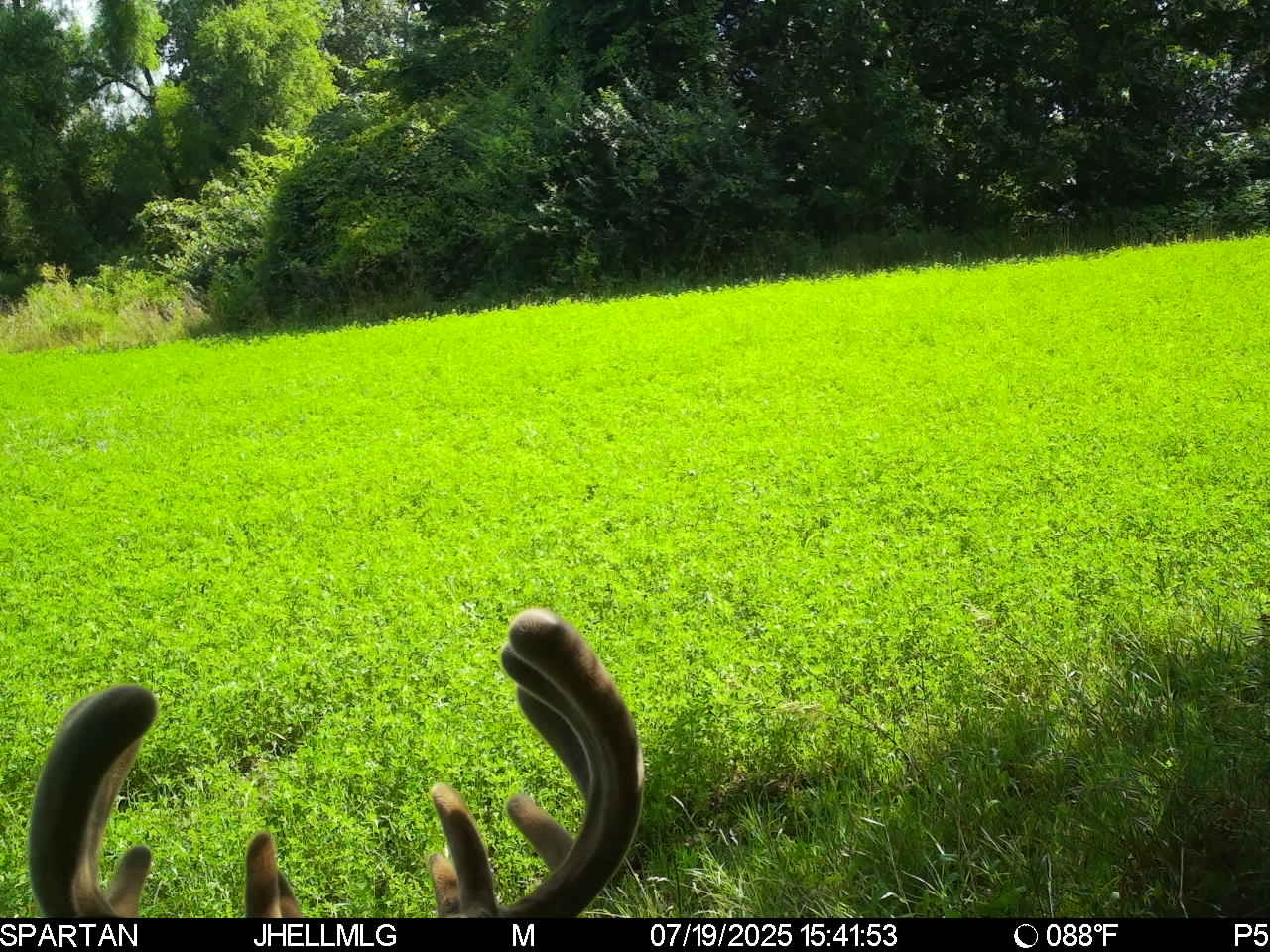 0 Mountain Lane Freeport, IL 61032 - Photo 39 of 78 a view of yard with green space