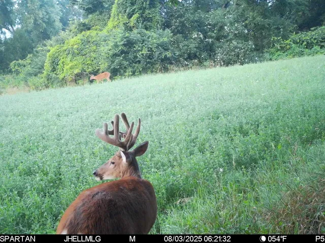 a view of lake and mountain