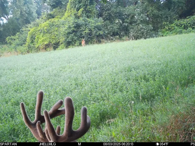 a view of an outdoor space and a yard