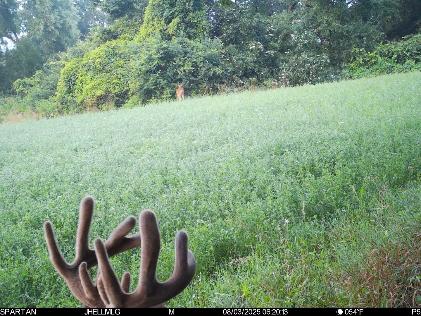 0 Mountain Lane Freeport, IL 61032 - Photo 41 of 78 a view of outdoor space and garden