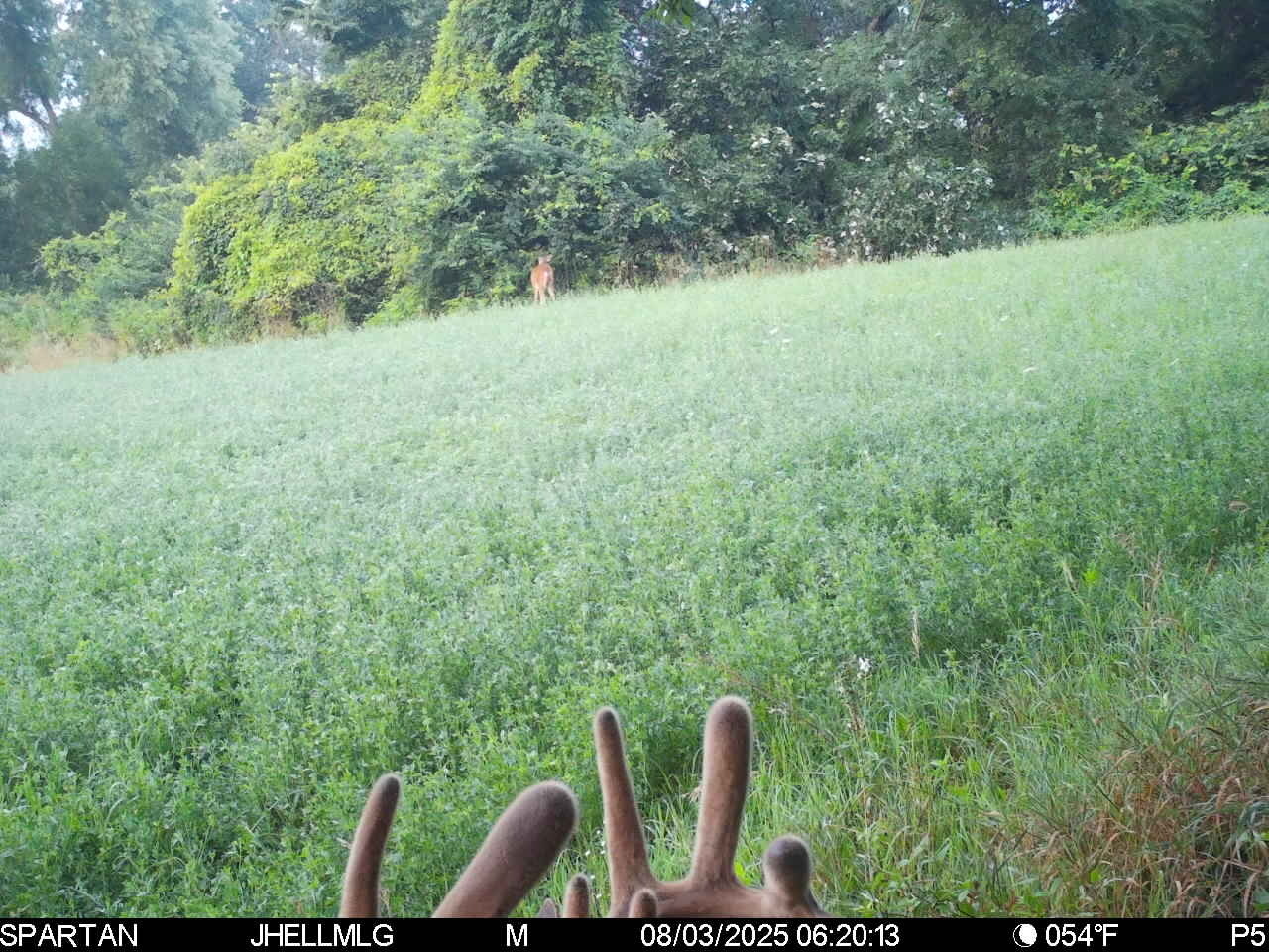 0 Mountain Lane Freeport, IL 61032 - Photo 42 of 78 a view of outdoor space and yard