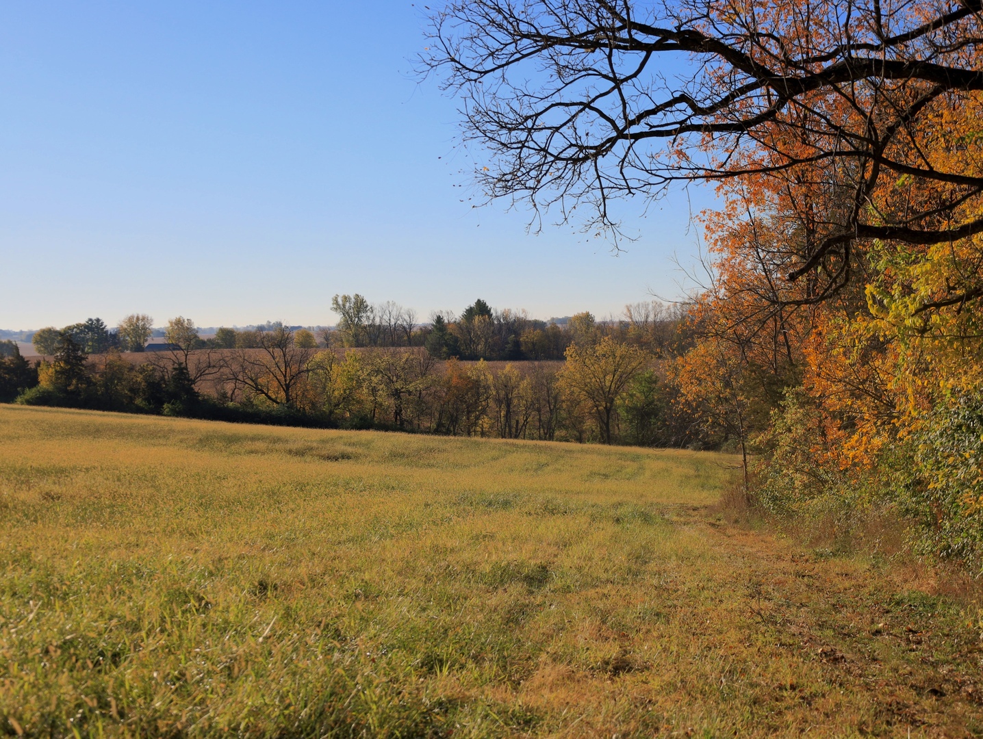 0 Mountain Lane Freeport, IL 61032 - Photo 43 of 86