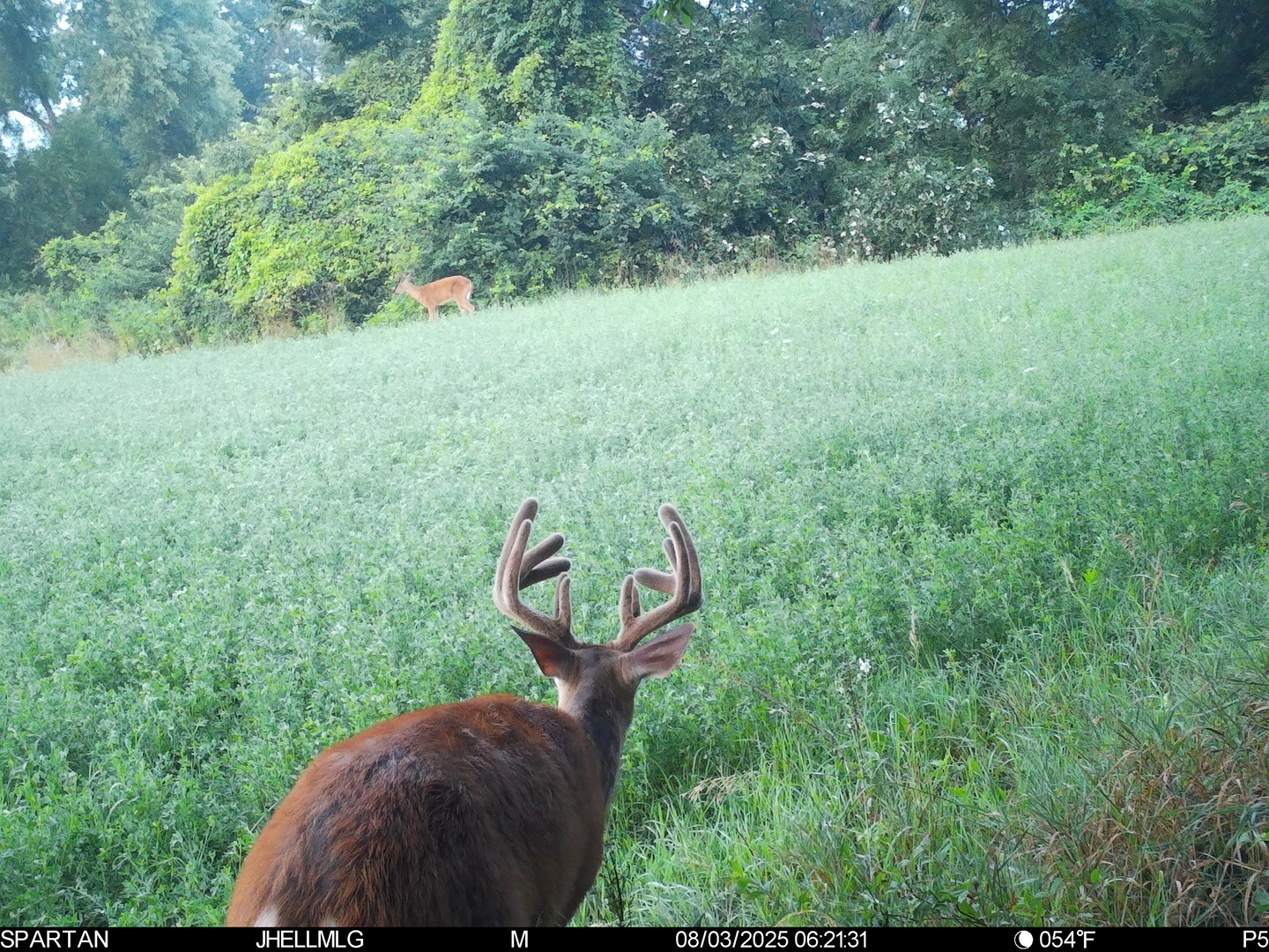 0 Mountain Lane Freeport, IL 61032 - Photo 44 of 78 a view of a wooden fence and floor