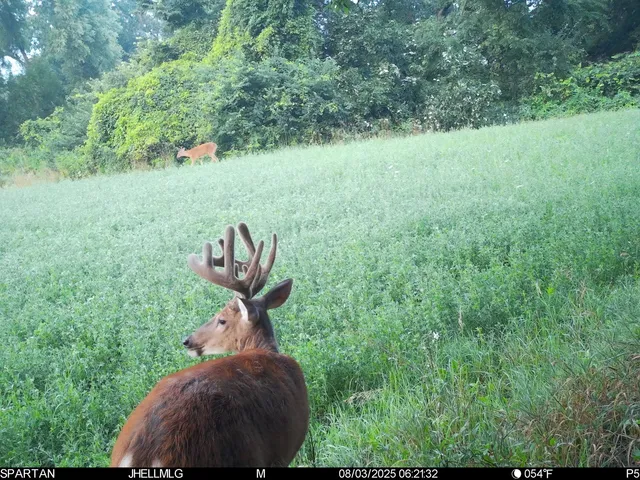 a view of an ocean and beach
