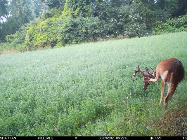 a view of lake with a yard