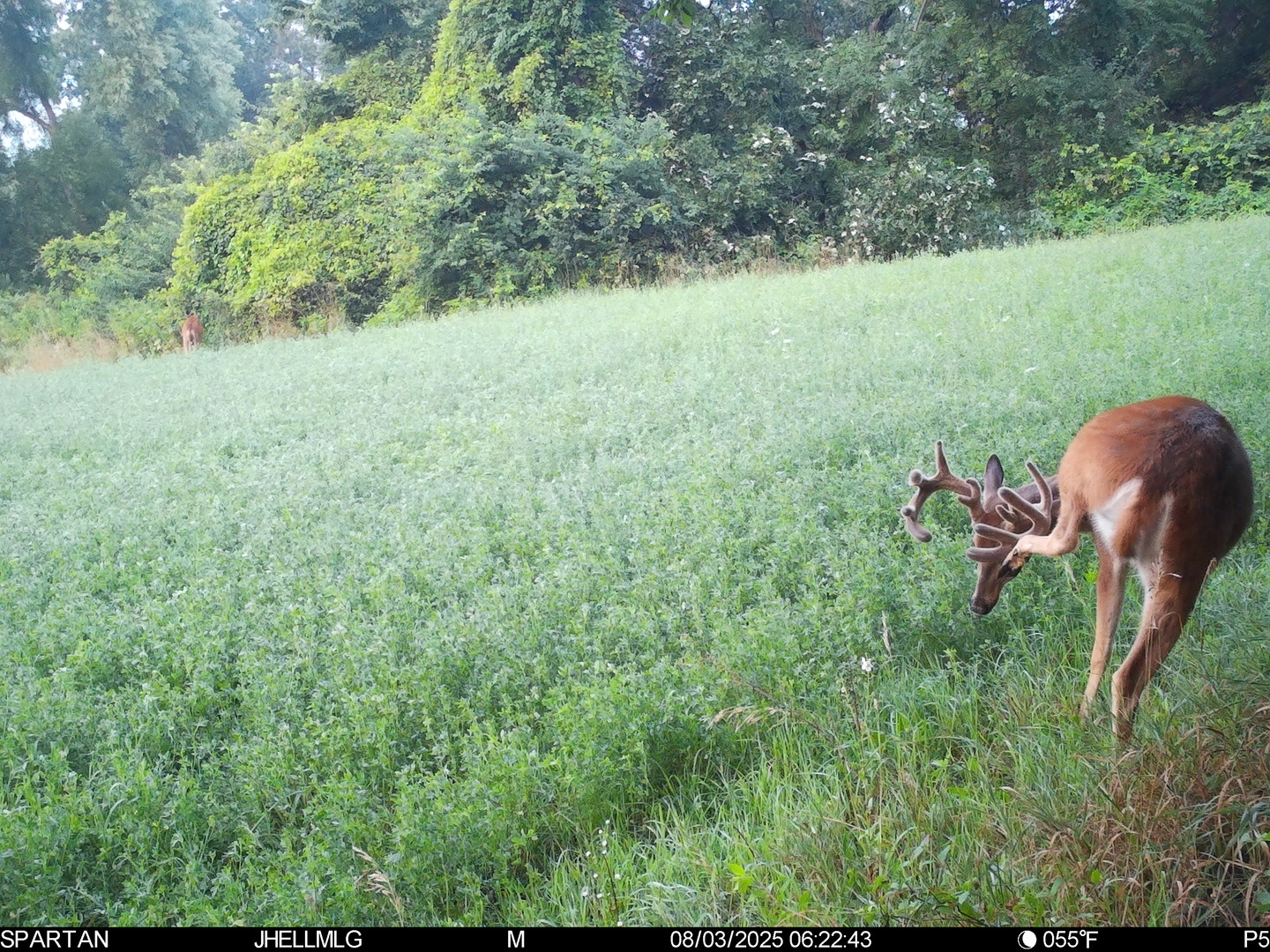 0 Mountain Lane Freeport, IL 61032 - Photo 47 of 78 a view of backyard with outdoor and green space
