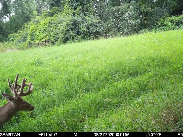 a view of outdoor space
