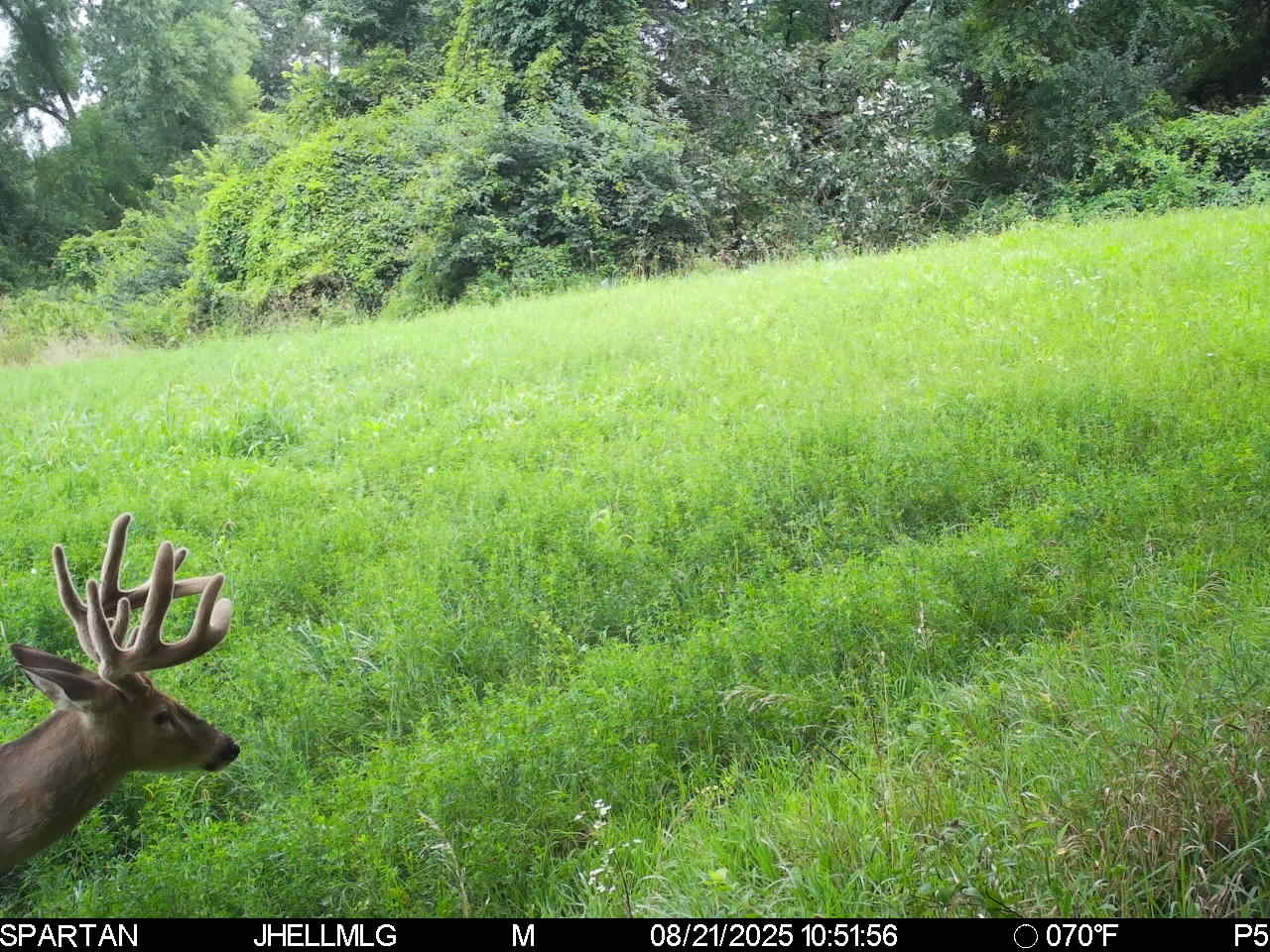0 Mountain Lane Freeport, IL 61032 - Photo 50 of 78 a view of yard with green space