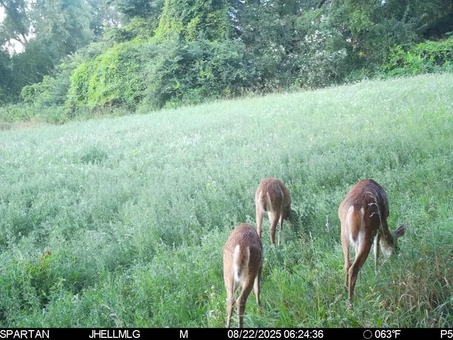 $315,000 | 0 Mountain Lane, Freeport, IL 61032