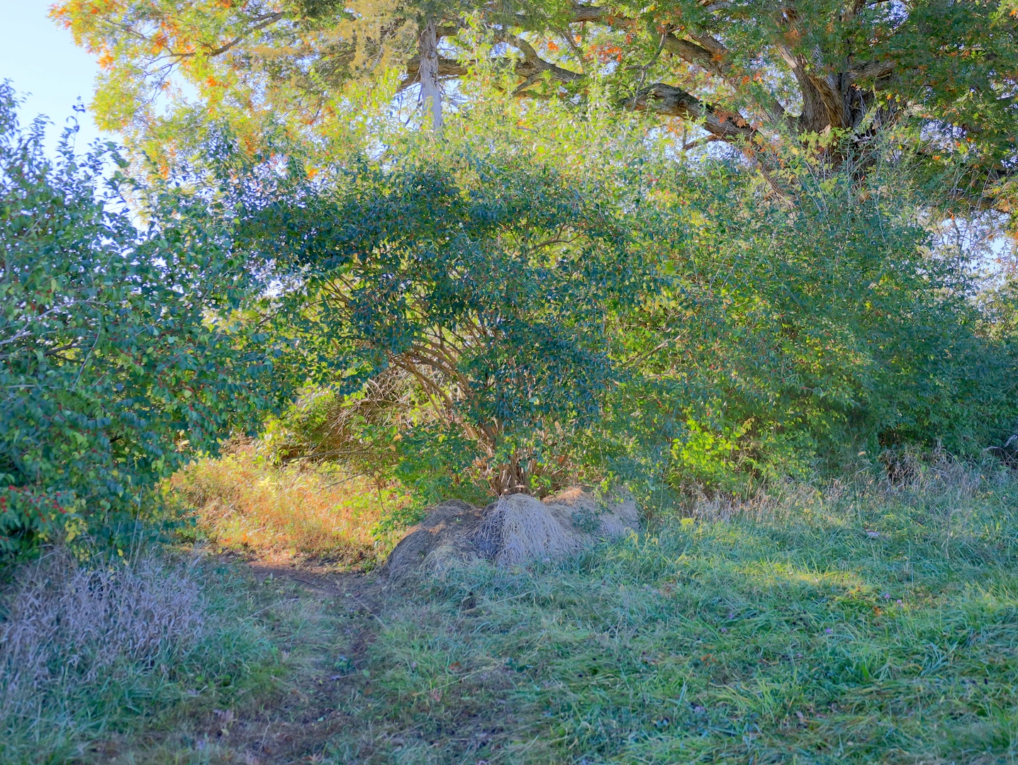 0 Mountain Lane Freeport, IL 61032 - Photo 54 of 86