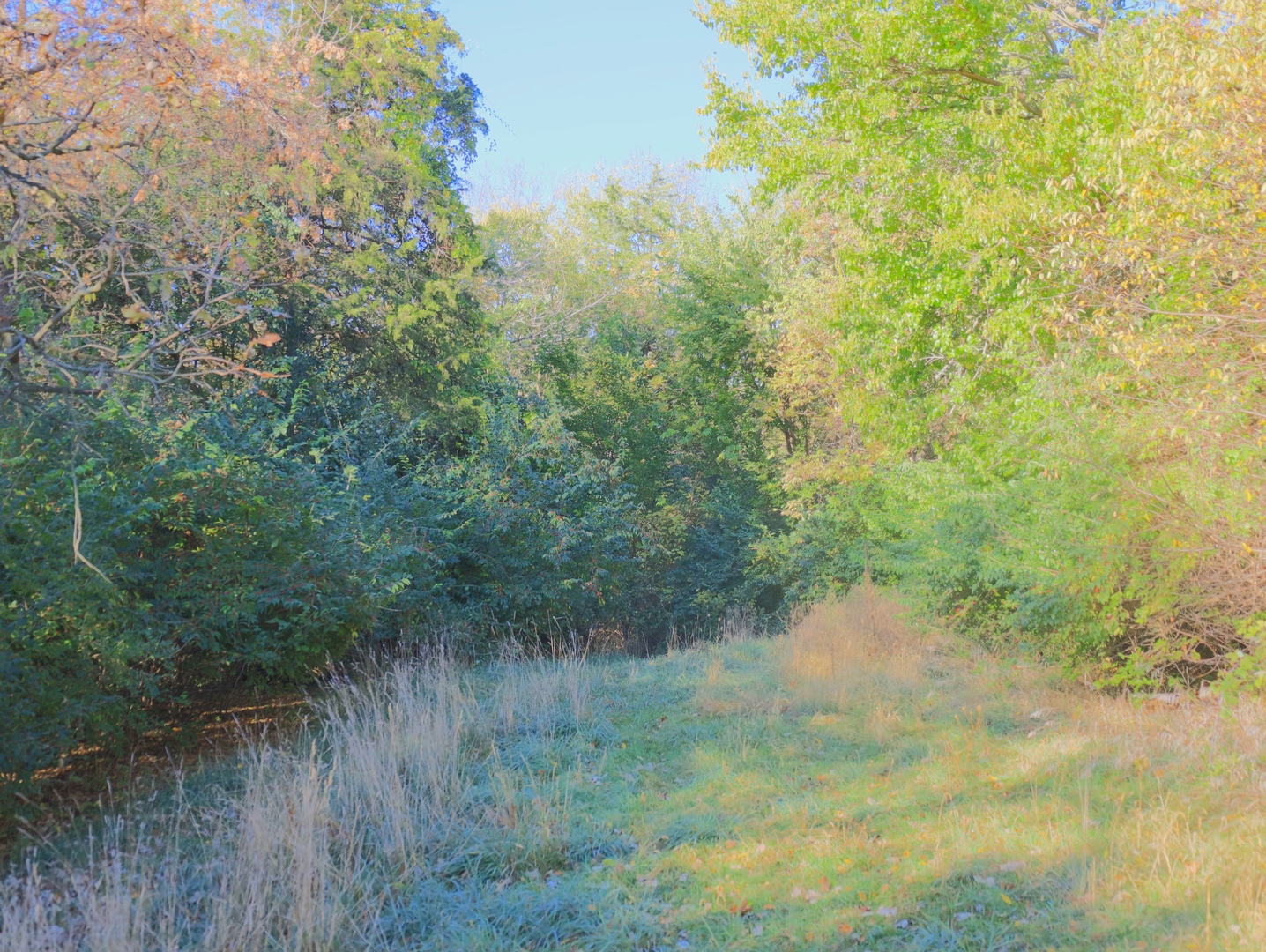 0 Mountain Lane Freeport, IL 61032 - Photo 58 of 78