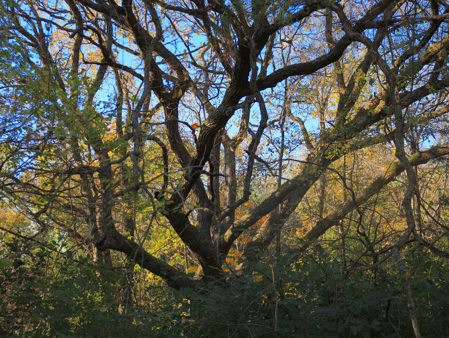 0 Mountain Lane Freeport, IL 61032 - Photo 59 of 78