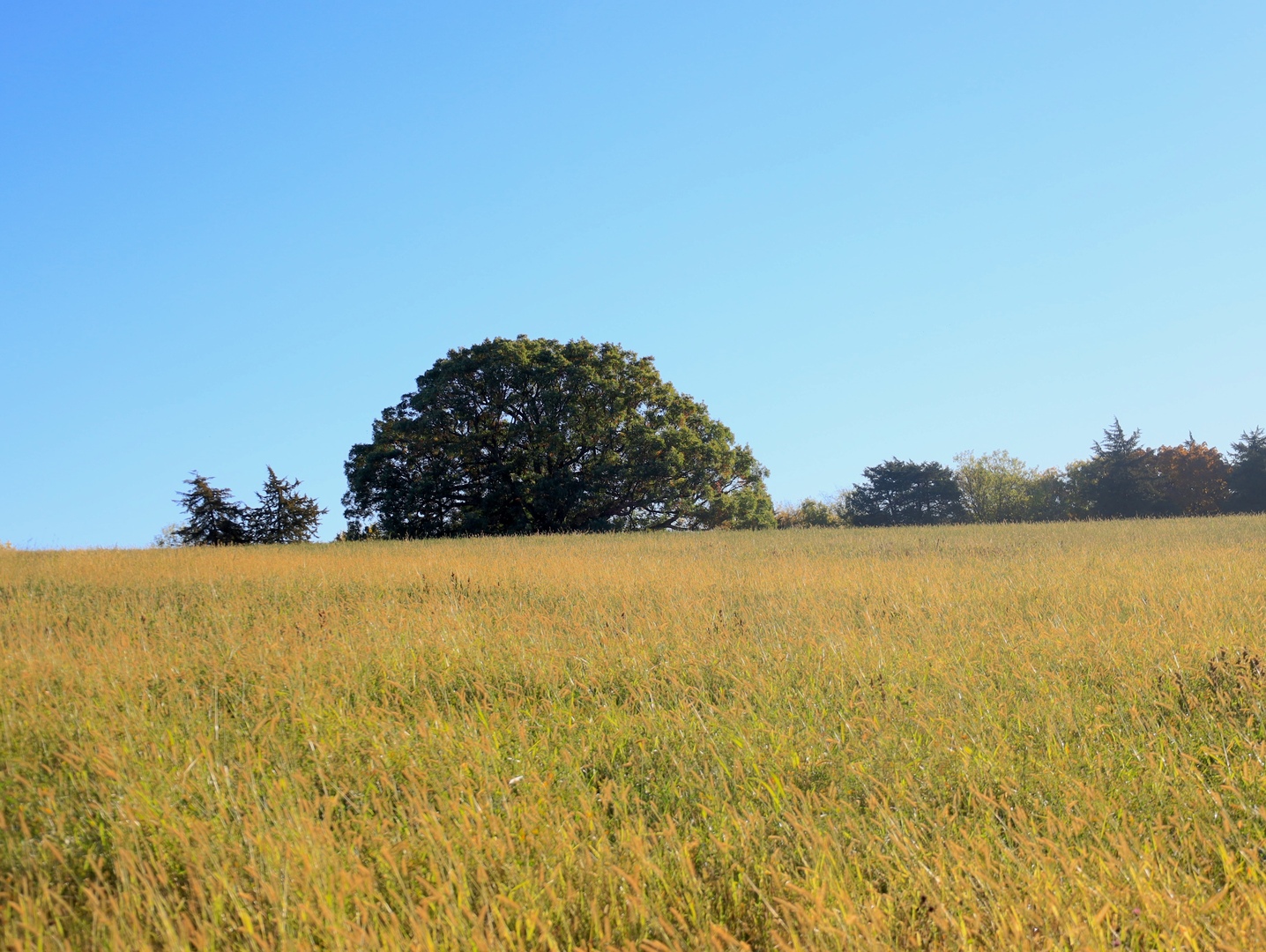 0 Mountain Lane Freeport, IL 61032 - Photo 67 of 78 a view of an ocean and beach