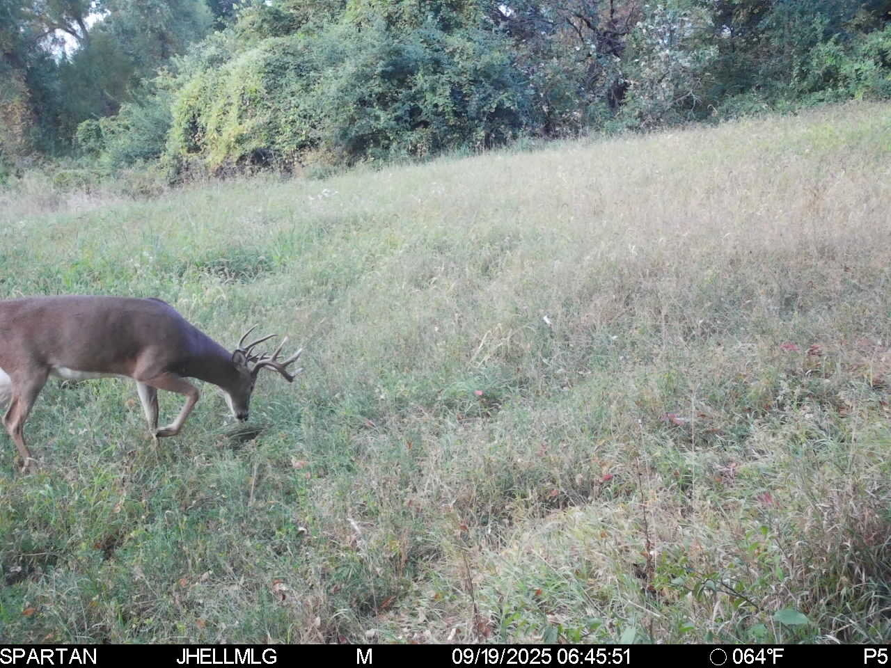 0 Mountain Lane Freeport, IL 61032 - Photo 68 of 86