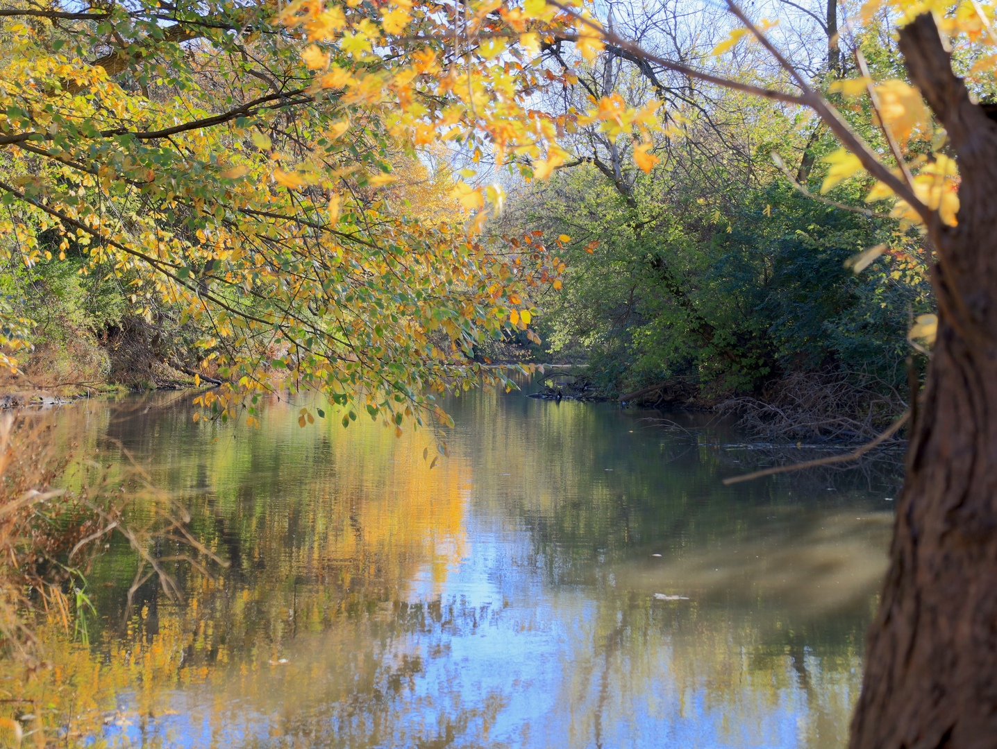 0 Mountain Lane Freeport, IL 61032 - Photo 72 of 78