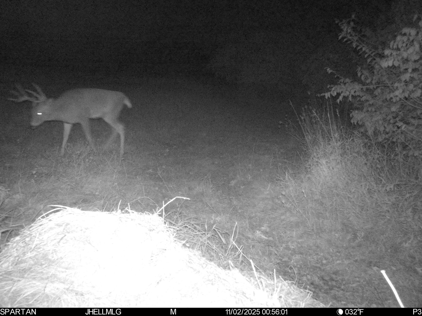 0 Mountain Lane Freeport, IL 61032 - Photo 73 of 86