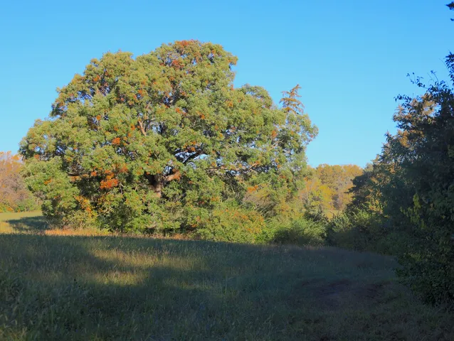 $315,000 | 0 Mountain Lane, Freeport, IL 61032