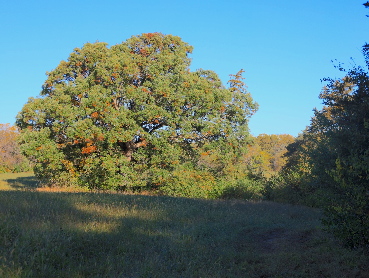 0 Mountain Lane Freeport, IL 61032 - Photo 73 of 78 a view of a lake view