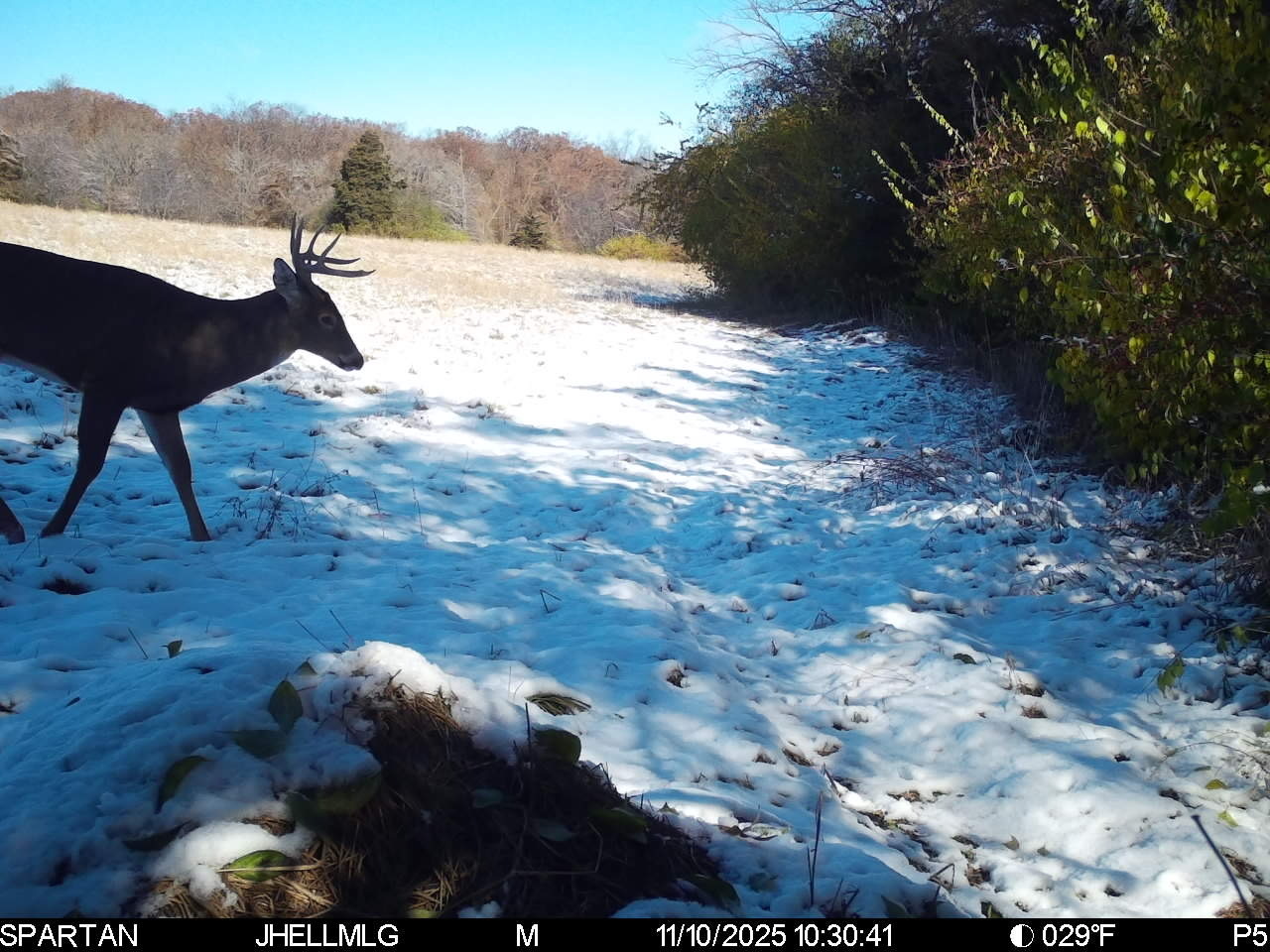 0 Mountain Lane Freeport, IL 61032 - Photo 75 of 86