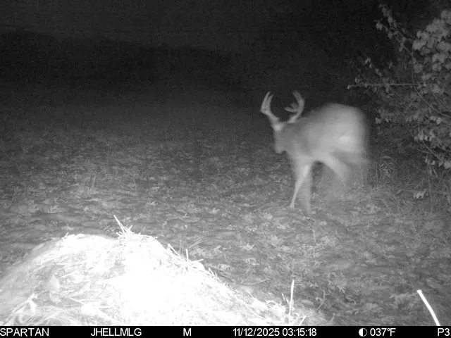 $315,000 | 0 Mountain Lane, Freeport, IL 61032