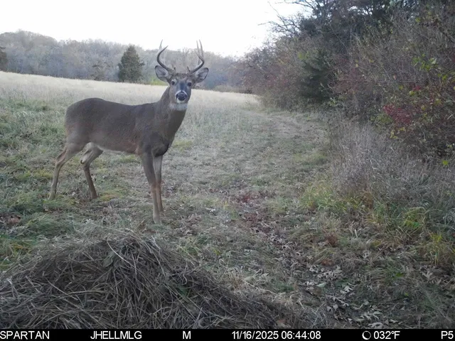 $315,000 | 0 Mountain Lane, Freeport, IL 61032