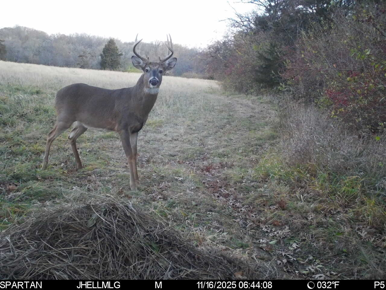 0 Mountain Lane Freeport, IL 61032 - Photo 78 of 86
