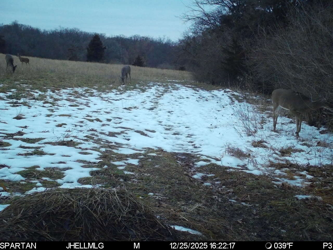 0 Mountain Lane Freeport, IL 61032 - Photo 79 of 86