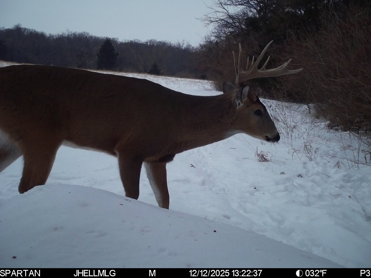 0 Mountain Lane Freeport, IL 61032 - Photo 81 of 86