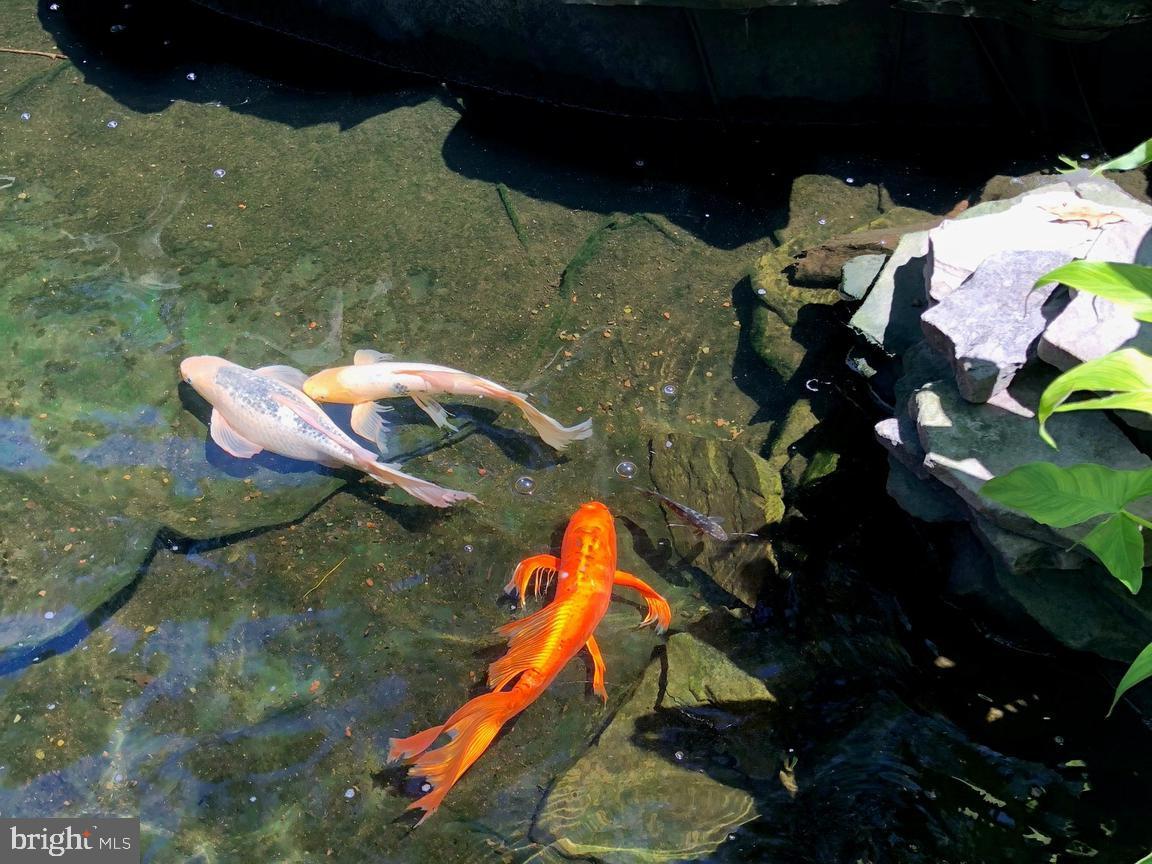 400 Highview Drive Wayne, PA 19087 - Photo 4 of 143