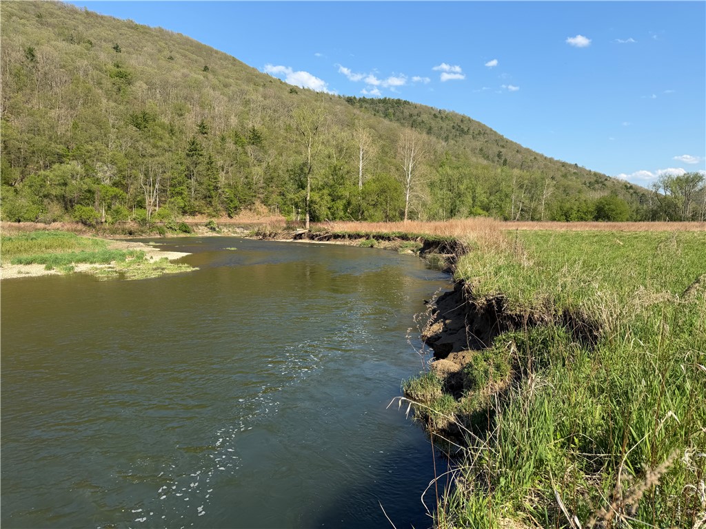 Lot 3 McChesney Road Cameron, NY 14819 - Photo 9 of 21