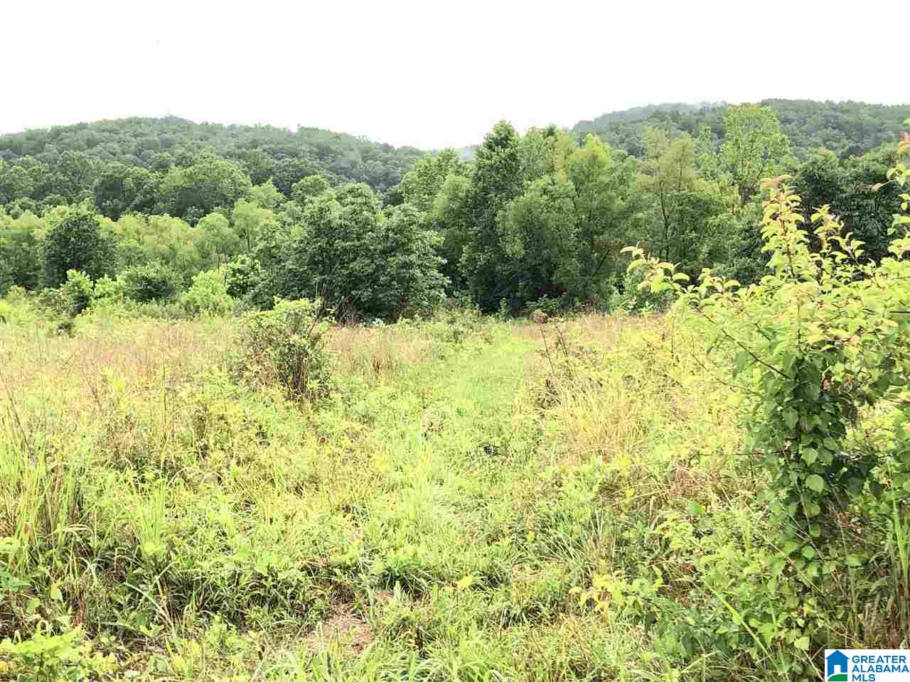0 Old Downey Mill Road Anniston, AL 36207 - Photo 16 of 28