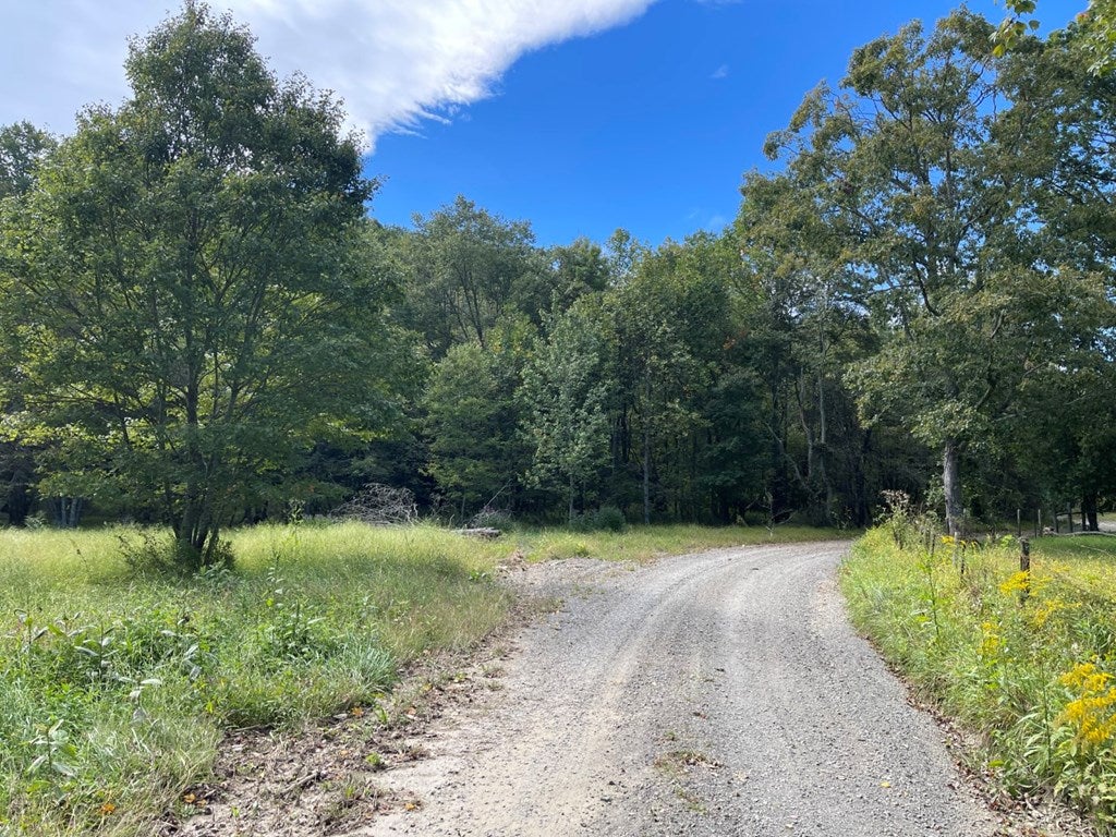 Tbd Ben Ridge Road, Unit 52 Laurel Fork, VA 24352 - Photo 2 of 28 Gallery Image 2