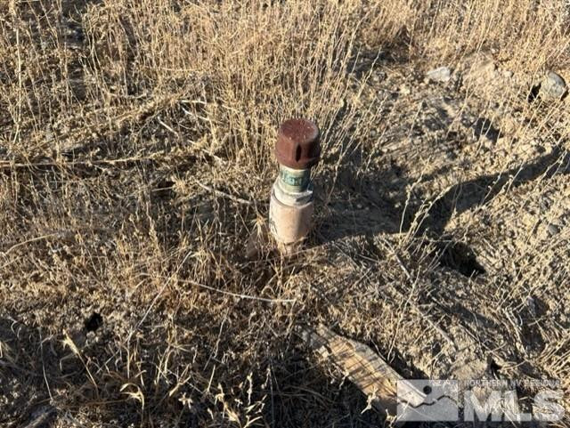 12629 Van Fleet Road Fallon, NV 89406 - Photo 7 of 8 a close up of a plant in a garden