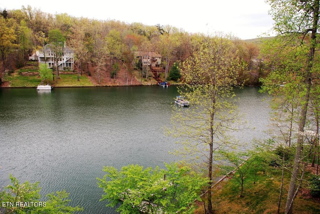 145 Pineridge Loop Crossville, TN 38558 - Photo 57 of 57 Lake view spring