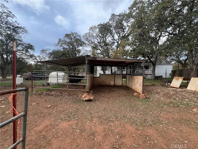 a view of a chairs and table in the backyard