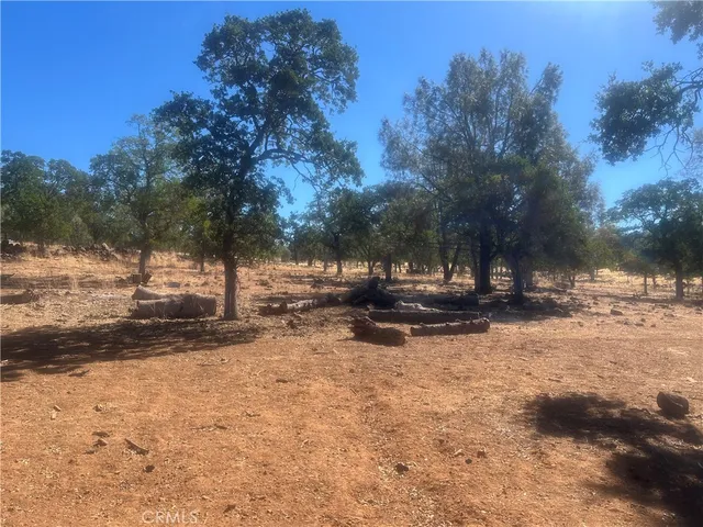 a view of snow with yard