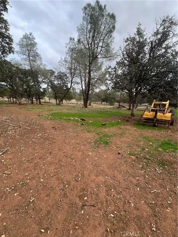 a view of yard with tree and trees