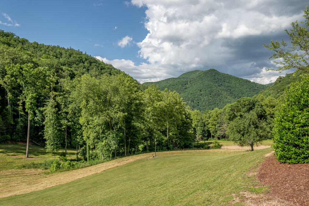 601 Gilbert Road Erwin, TN 37650 - Photo 51 of 62 167