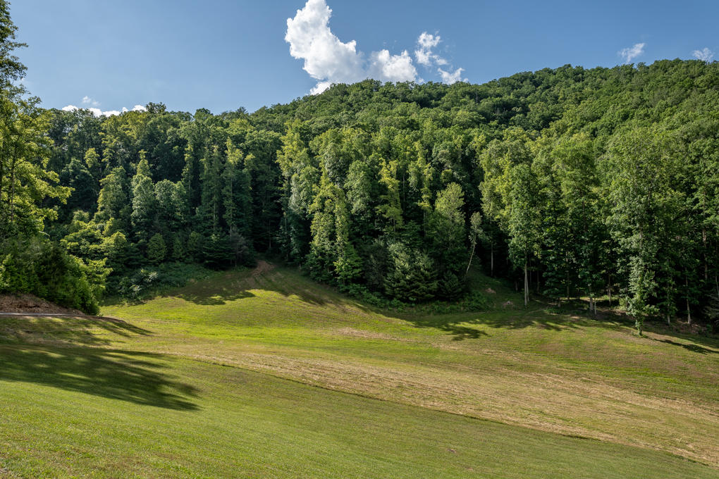 601 Gilbert Road Erwin, TN 37650 - Photo 52 of 62 168