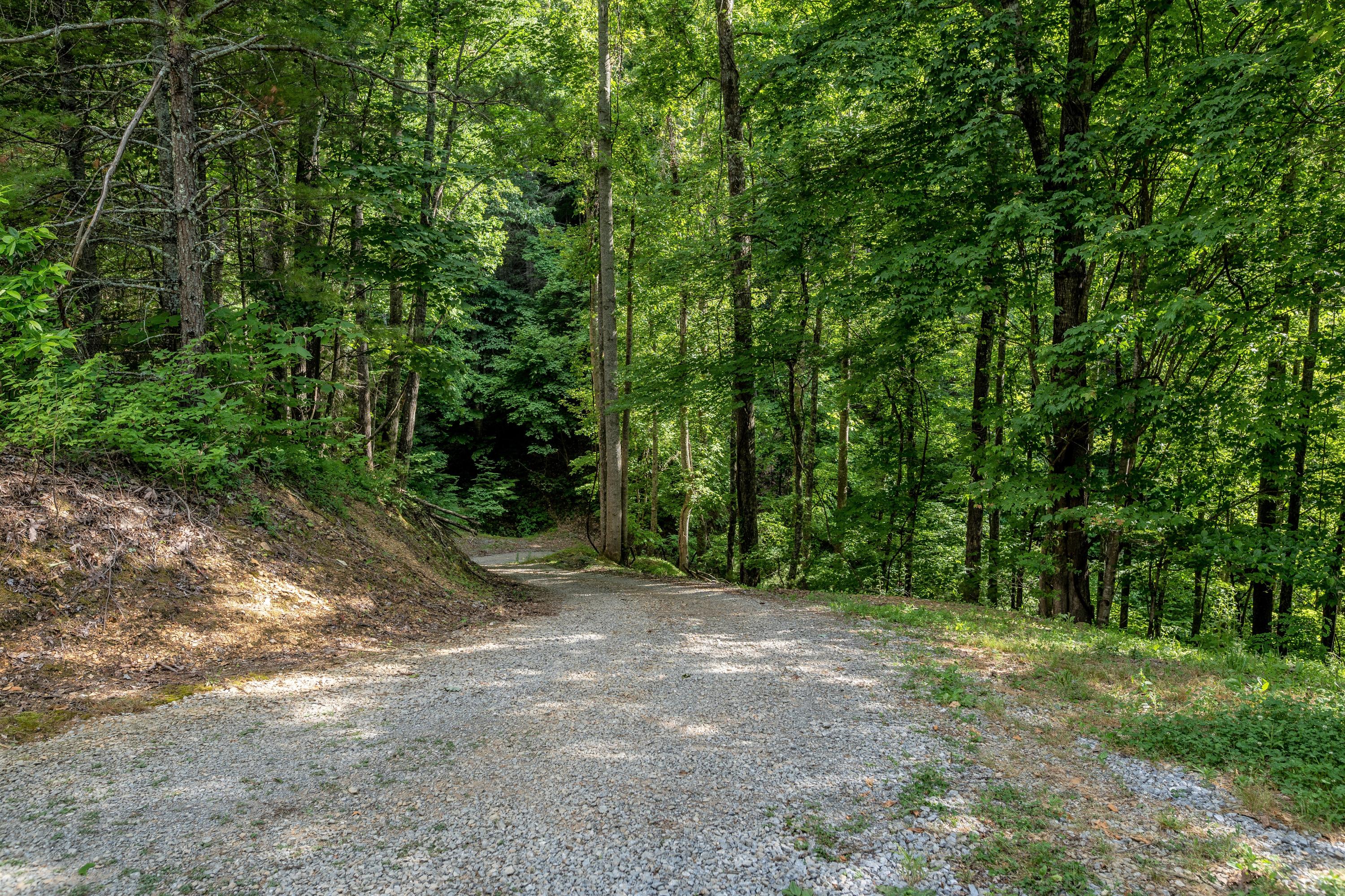 601 Gilbert Road Erwin, TN 37650 - Photo 61 of 62 Sample10