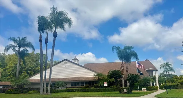 a view of a palm trees