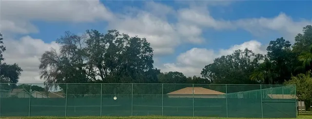 a view of a yard with large trees