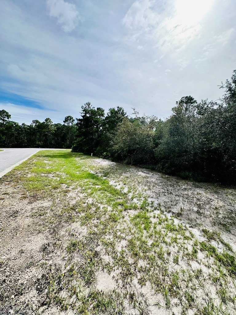 158 Singleleaf Road Eastpoint, FL 32328 - Photo 5 of 9