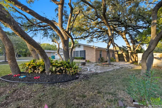 a view of a backyard with plants and large tree