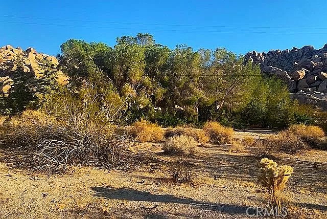 66058 Foothill Drive Joshua Tree, CA 92252 - Photo 11 of 12