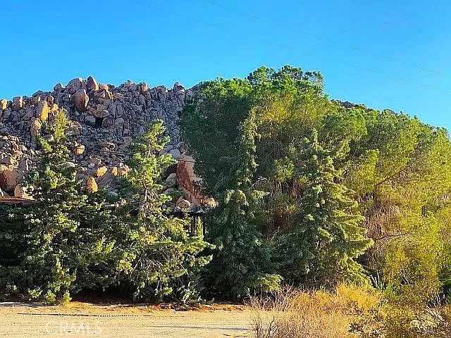 66058 Foothill Drive Joshua Tree, CA 92252 - Photo 2 of 12