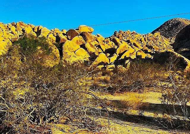 66058 Foothill Drive Joshua Tree, CA 92252 - Photo 3 of 12