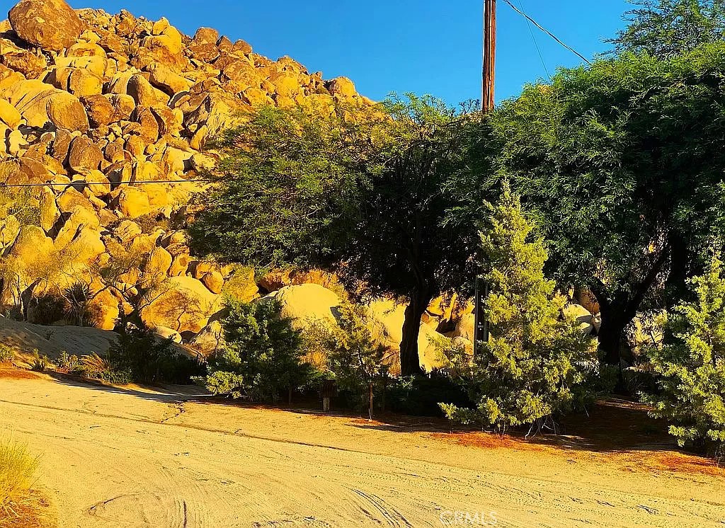 66058 Foothill Drive Joshua Tree, CA 92252 - Photo 4 of 12