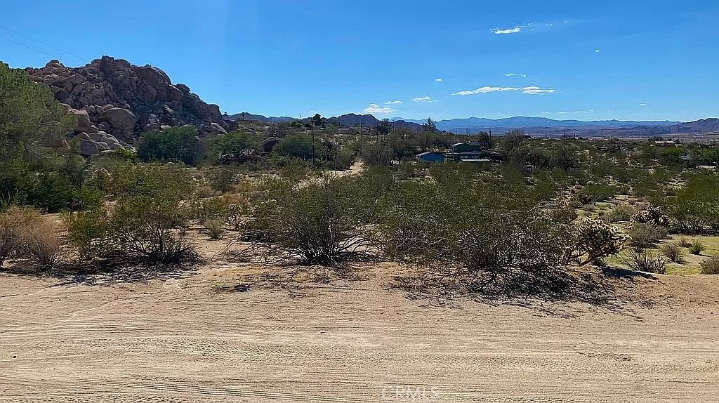 66058 Foothill Drive Joshua Tree, CA 92252 - Photo 5 of 12