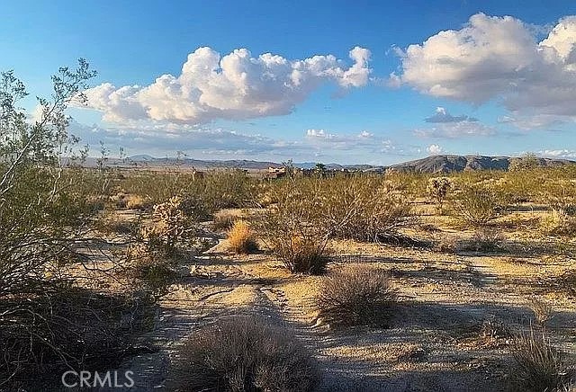 66058 Foothill Drive Joshua Tree, CA 92252 - Photo 6 of 12